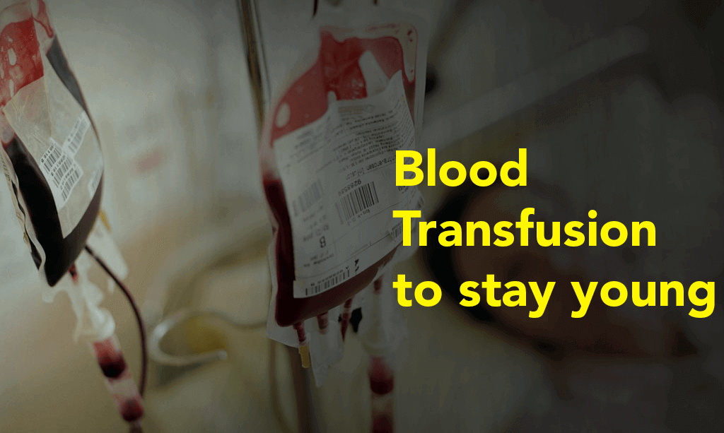 Image result for young blood transfusions