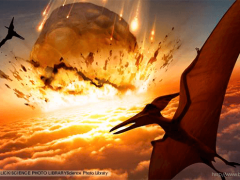 Humans Are On Verge Of 6th Mass Extinction: Suggested