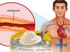 High Cholesterol: Causes, Effects and Treatment