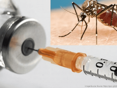 Malaria Vaccine: New Malaria Vaccines Introduced